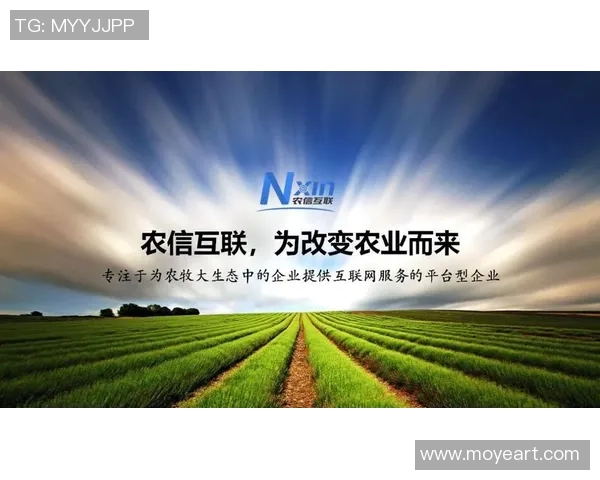 探索经理姚明模式对现代企业管理的深远影响与实践价值